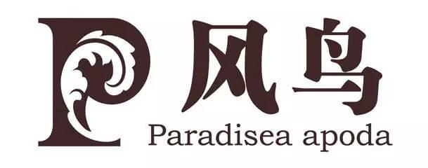 鵬為軟件與風(fēng)鳥集團(tuán)交流溝通